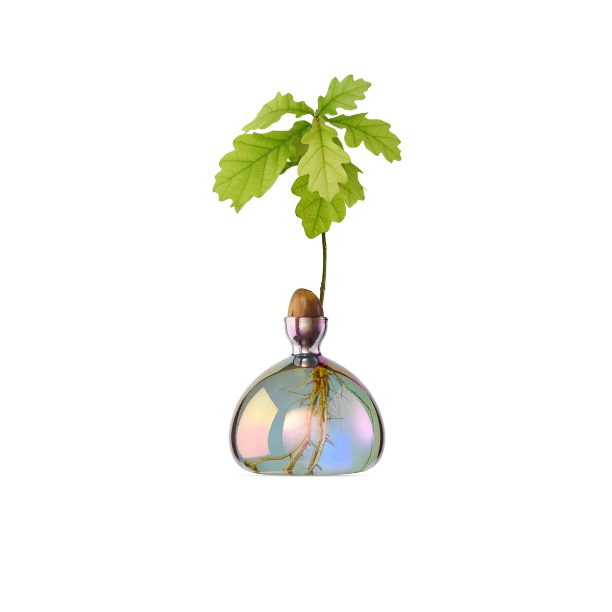 Image du produit 6