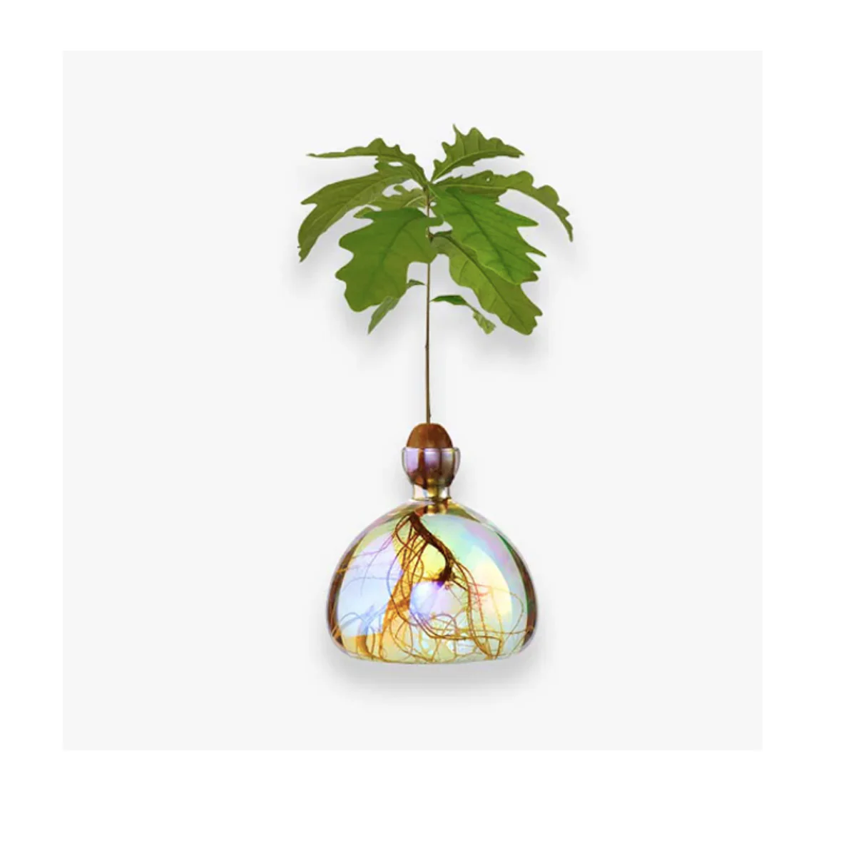 Image du produit 7